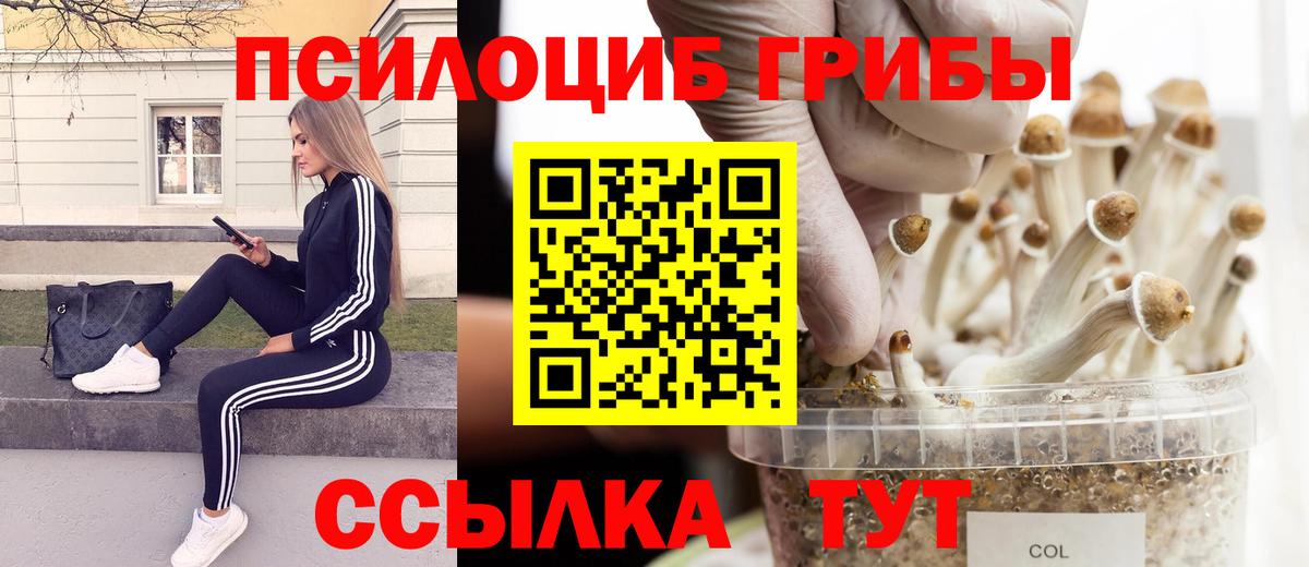 Псилоцибиновые грибы ЛСД Миллерово